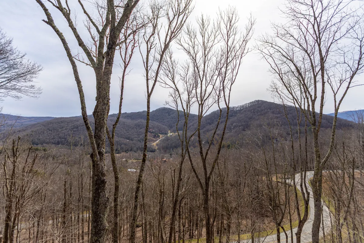 This view image shows a winding road through bare trees leading toward a distant mountain range. The tranquil landscape evokes the spirit of exploration, hiking, and appreciating dramatic year-round views—perfectly echoing the section’s focus on insider tips and the appeal of every season.